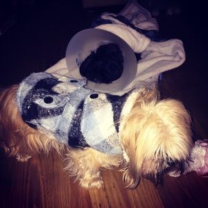 Meet your Posher, Kevin